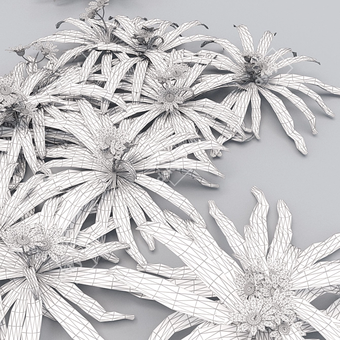 Silver Leaf Groundcover 3D model image 3