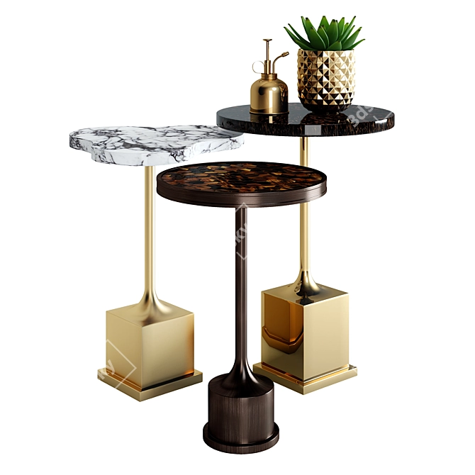 Exquisite Tris: Horn, Marble & Brass Side Tables 3D model image 1