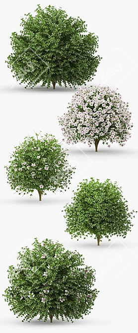 Blooming Hibiscus Bush: 3D Model 3D model image 2