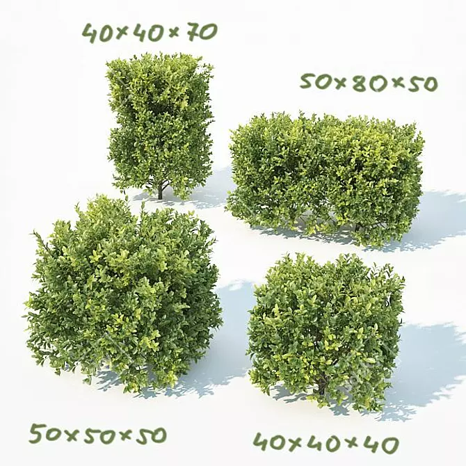Versatile Buxus Sempervirens Cubes 3D model image 1