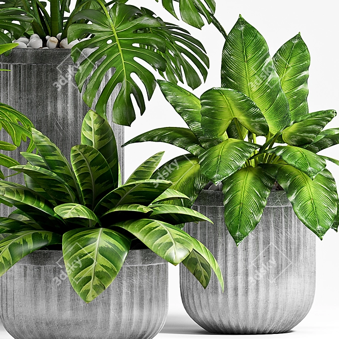 Vintage Planter Set - 100 3D model image 3