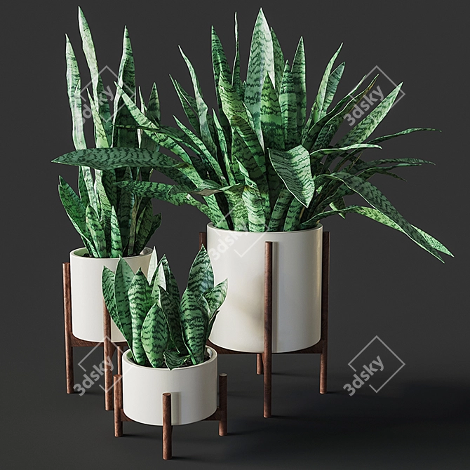 Sansevieria Plant Replica 3D model image 1