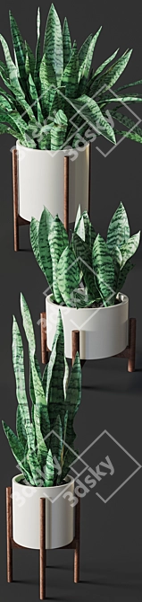 Sansevieria Plant Replica 3D model image 2