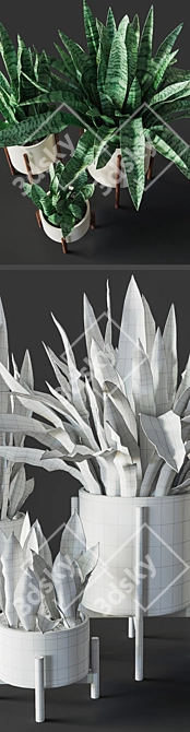 Sansevieria Plant Replica 3D model image 3