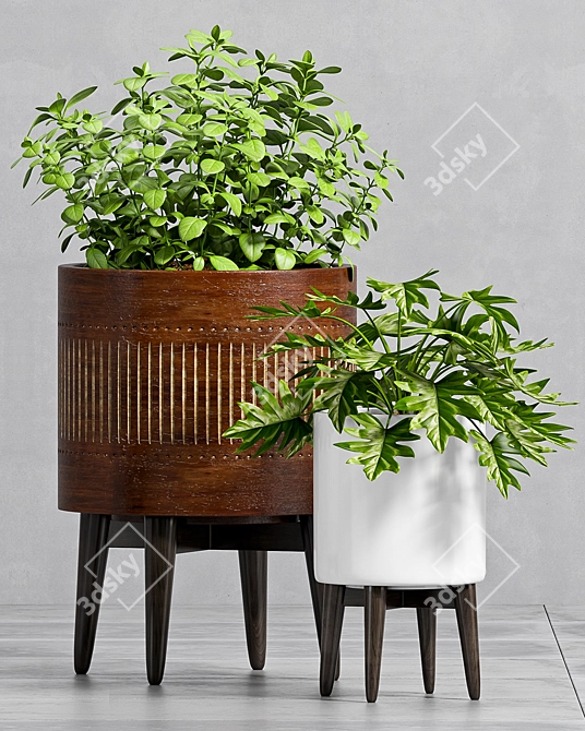 Nature's Oasis: Decorative Plant Set 3D model image 2