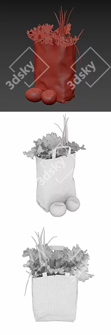 Fresh and Convenient Veggie Bundle 3D model image 3