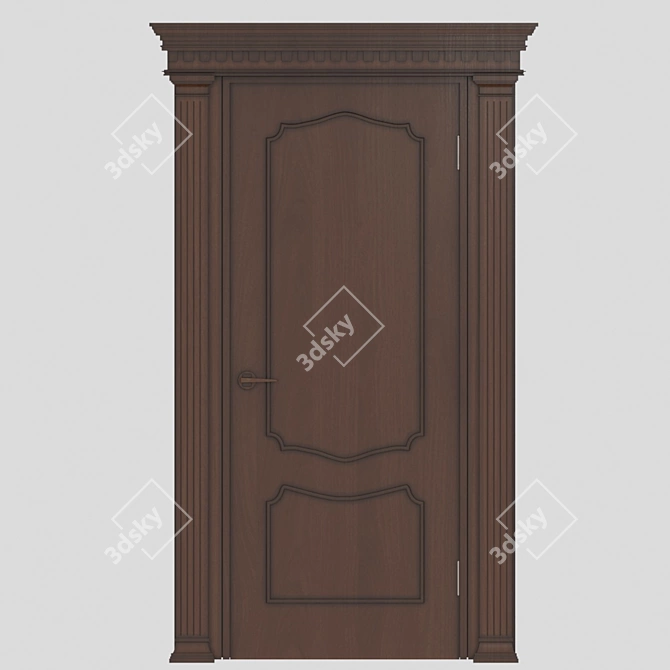 Elegant Ebony Door 3D model image 1