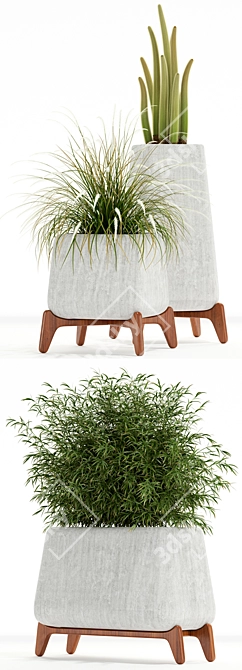 Indigenous Terra: 128 Plant Collection 3D model image 2