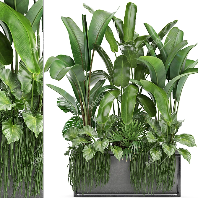 Tropical Plant Collection: Bananas, Monstera & More 3D model image 1