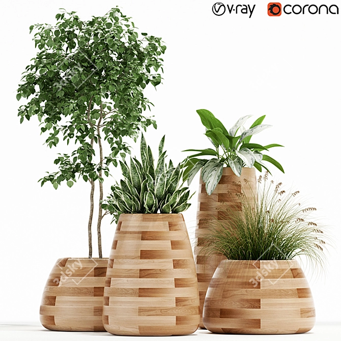 129 Indigenus Tuber Plant Collection 3D model image 1