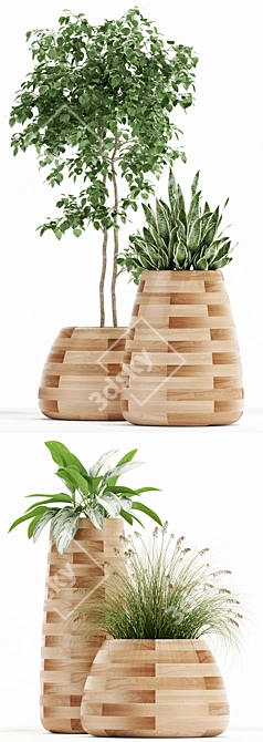 129 Indigenus Tuber Plant Collection 3D model image 2