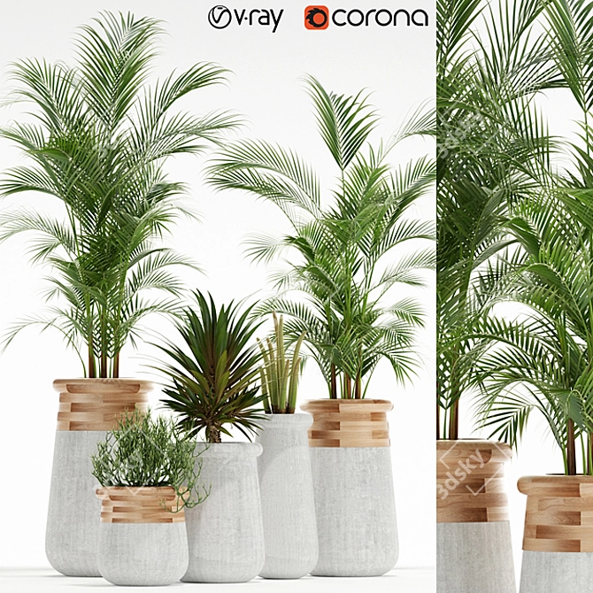Indigenous Soma: 130 Plant Collection 3D model image 2