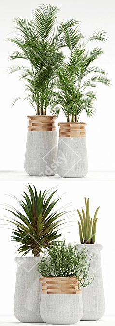 Indigenous Soma: 130 Plant Collection 3D model image 3