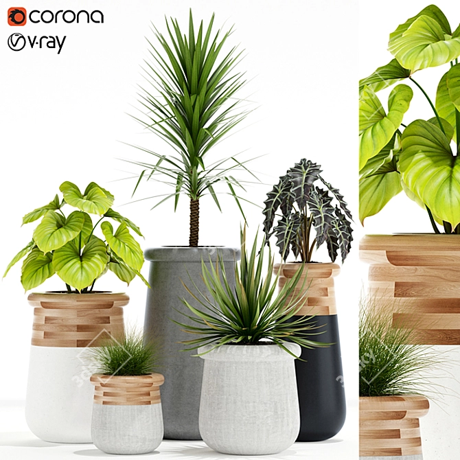 Indigenous Soma Plants: Collection 131 3D model image 1