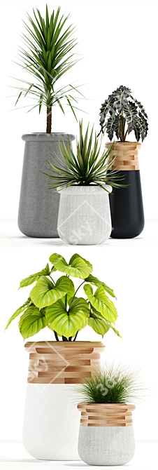 Indigenous Soma Plants: Collection 131 3D model image 2