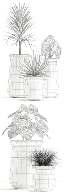 Indigenous Soma Plants: Collection 131 3D model image 3
