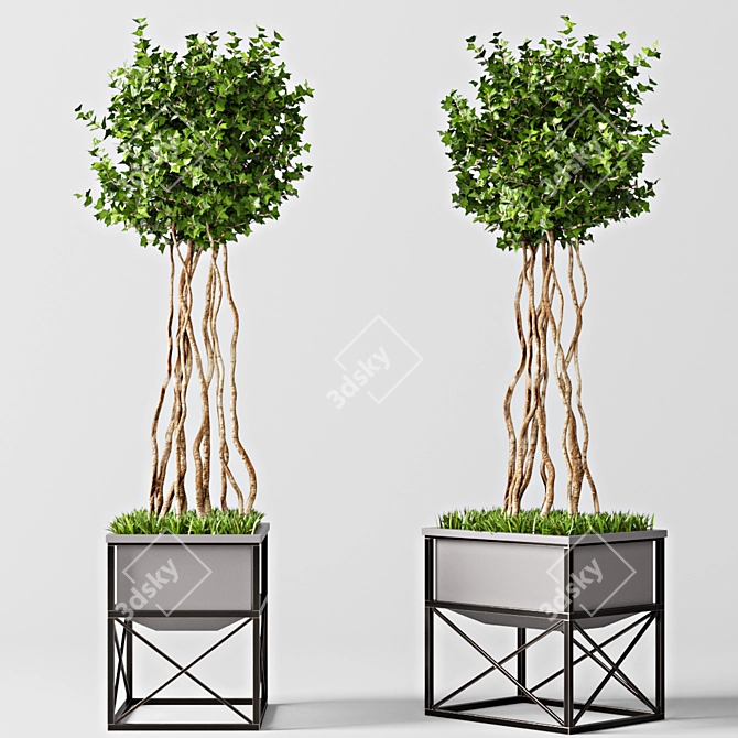 Elegant English Ivy Topiary: Perfect Green Accent 3D model image 2