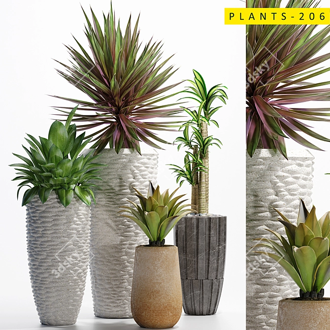 3D Plants Collection - 206 Varieties 3D model image 1