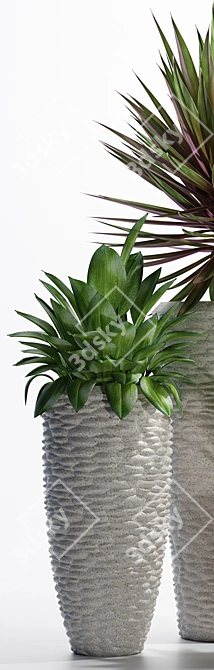 3D Plants Collection - 206 Varieties 3D model image 3