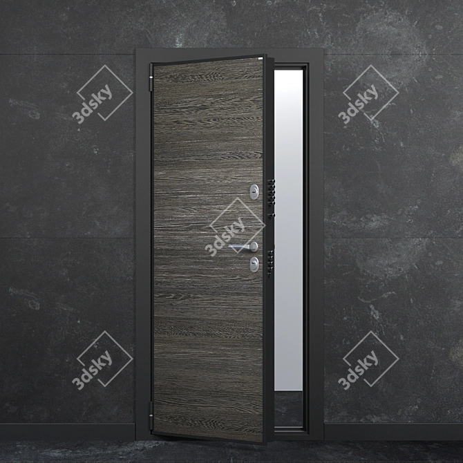 Modern Mirror Door - OM Door 3D model image 2