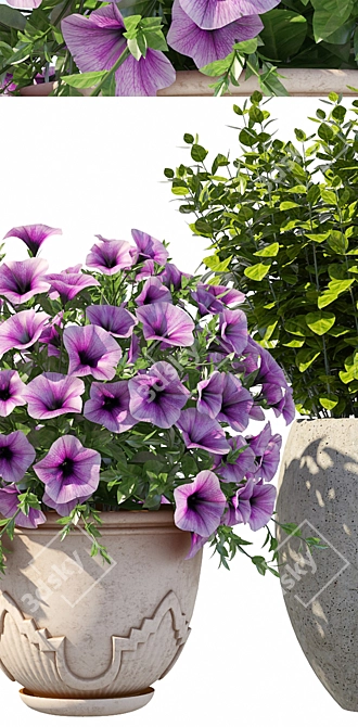 Vibrant Petunia Bushes 3D model image 2