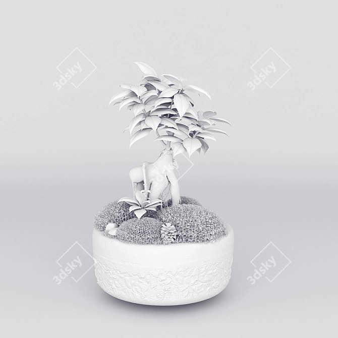 Woodland Wonder Miniature Terrarium 3D model image 2