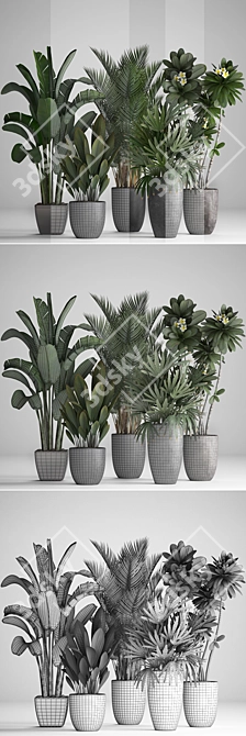 Tropical Plant Collection: Bananas, Palms & More 3D model image 3
