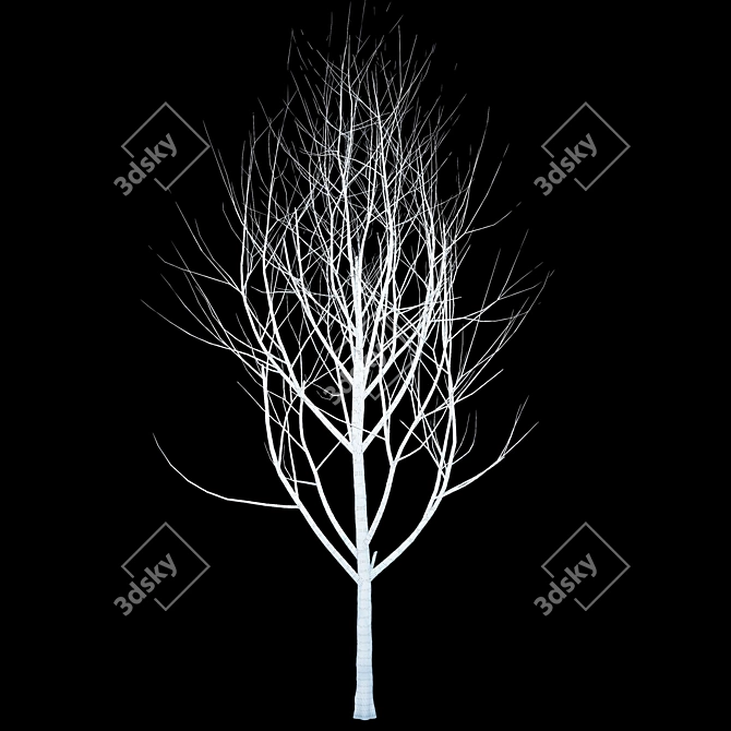  Winter Wonderland Tree 3D model image 2