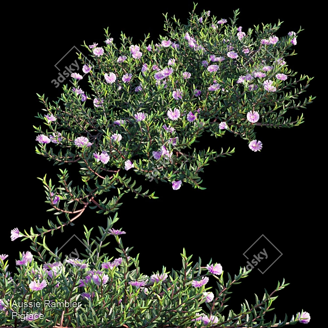 Lush Aussie Rambler: Vibrant Groundcover 3D model image 1