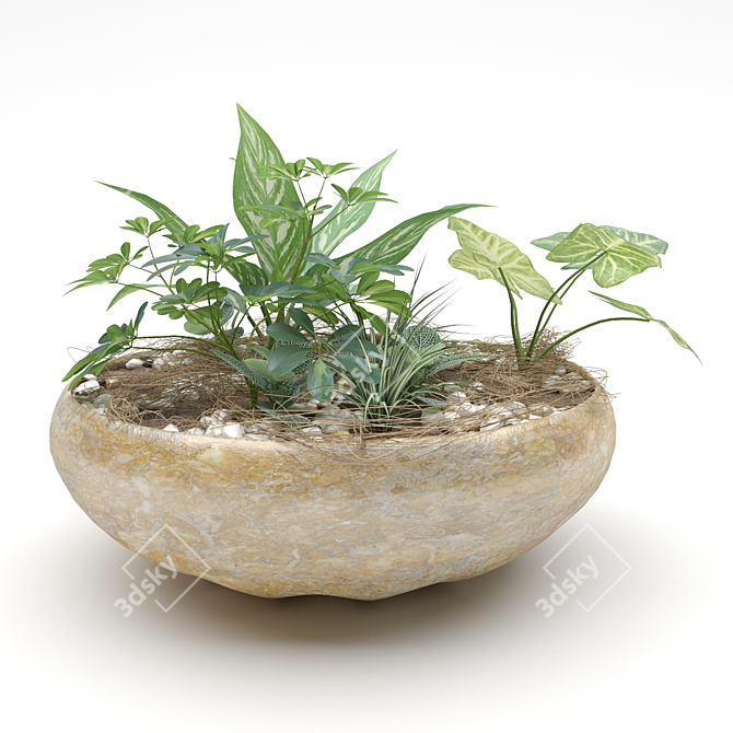 Modern Indoor Plant Pot 3D model image 1