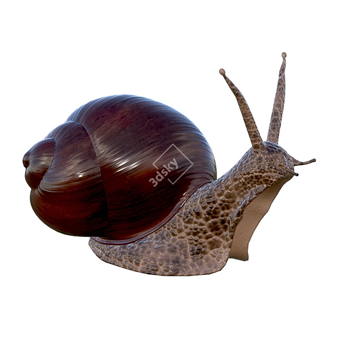 Mini Snail Figurine for Collectors 3D model image 1