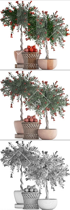 Blooming Pomegranate Tree with Fruits 3D model image 3