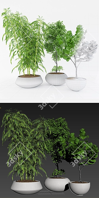 Lush Greenery Set 3D model image 2