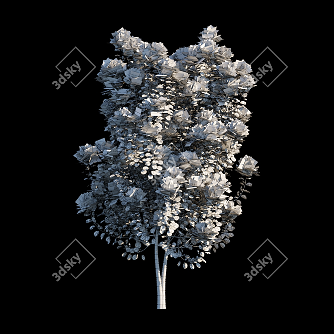 Golden Spirit Cotinus: Multistem Beauty 3D model image 3