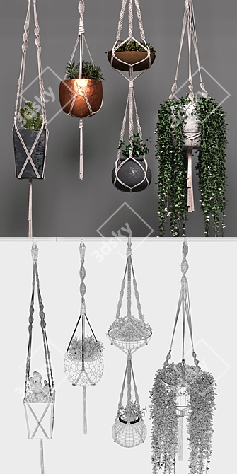 Stylish Hanging Pot Set 3D model image 2