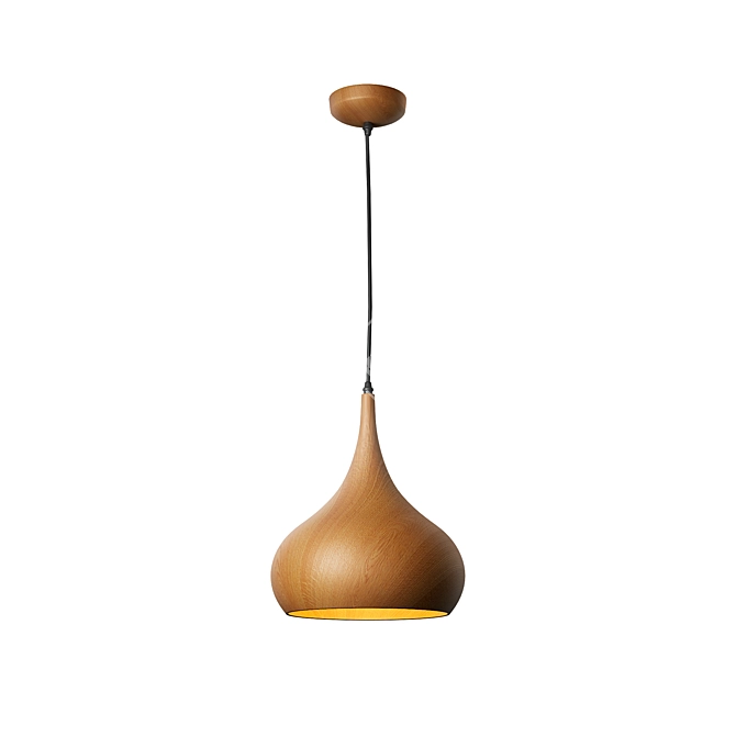 Natural Wood Hanging Lamp Shade 3D model image 1