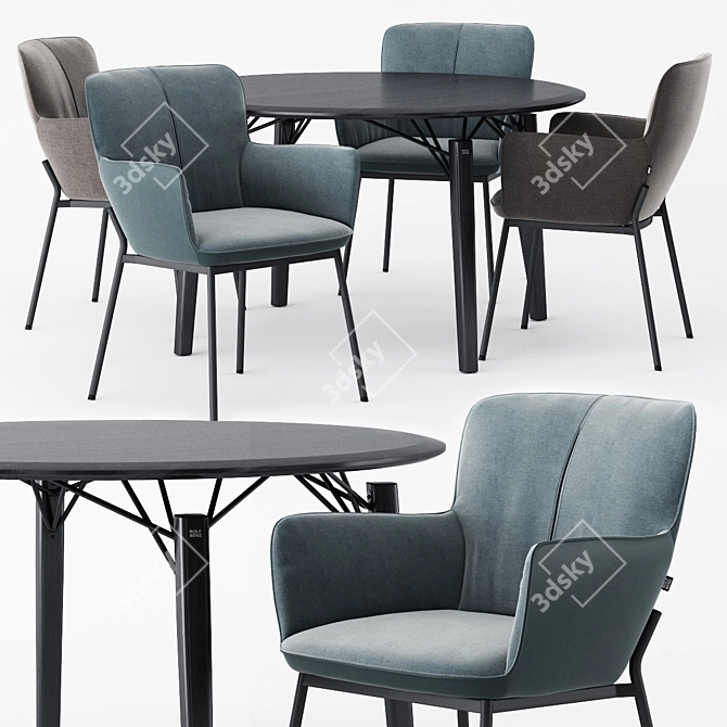 Elegant ROLF BENZ Dining Set 3D model image 1