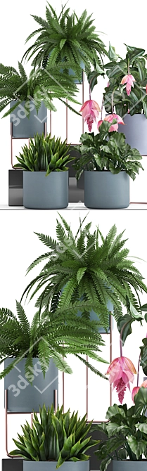 Exotic Indoor Plant Collection 3D model image 2