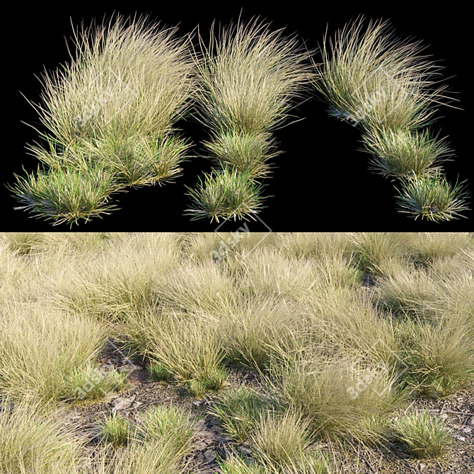 Eskdale Grass: 12 Grass Models 3D model image 2