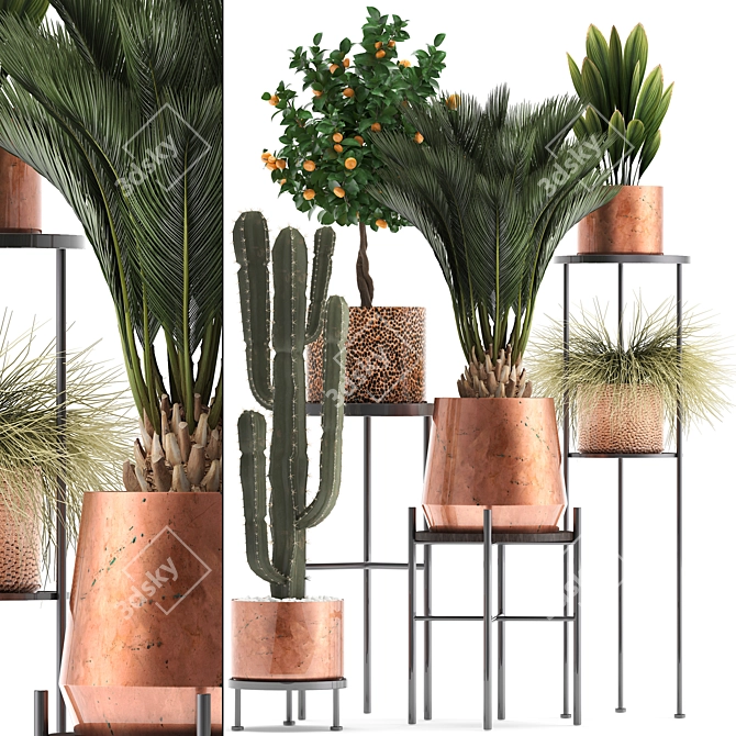 Copper Pot Plant Collection 3D model image 1