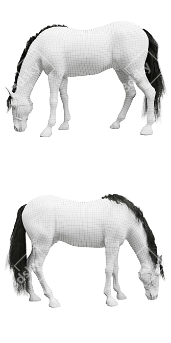 PBR Horse Model 3D model image 3