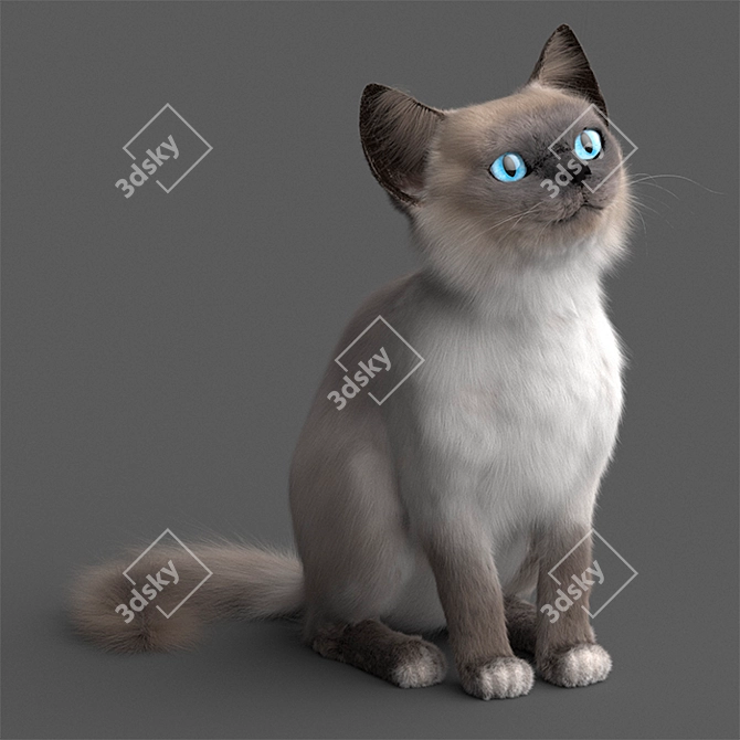 Adorable Young Cat Model 3D model image 1