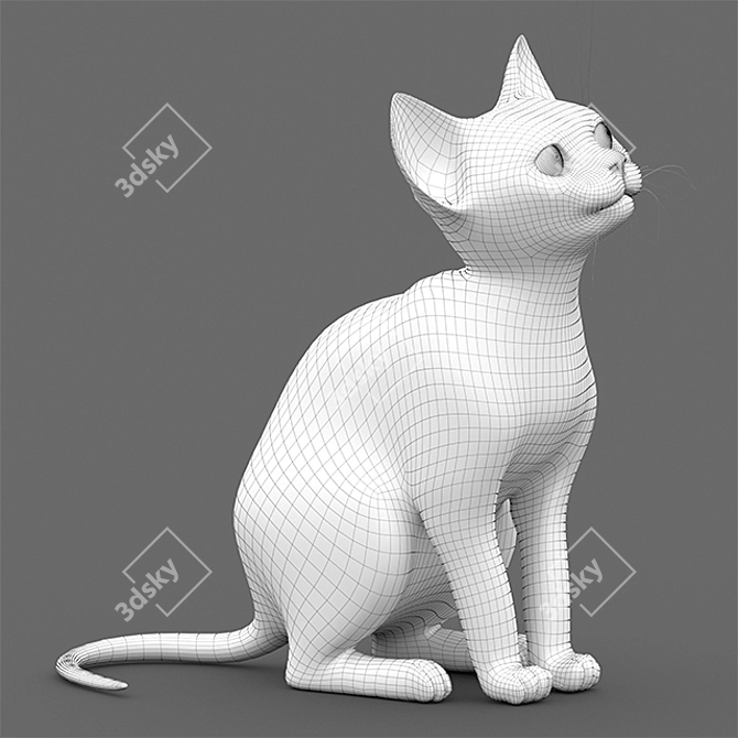 Adorable Young Cat Model 3D model image 2