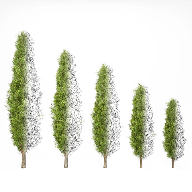 Mediterranean Cypress Shrub: V-Ray Ready 3D model image 3