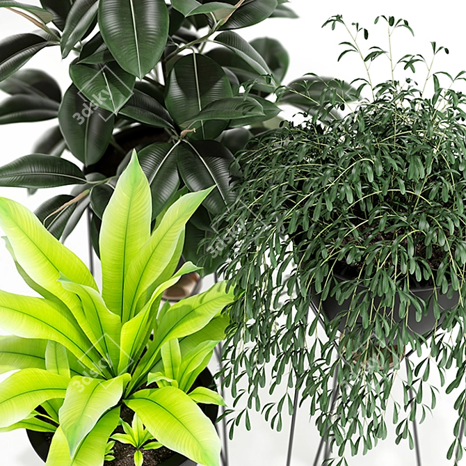 Exquisite MADRE SELVA GRANDE Plants 3D model image 2
