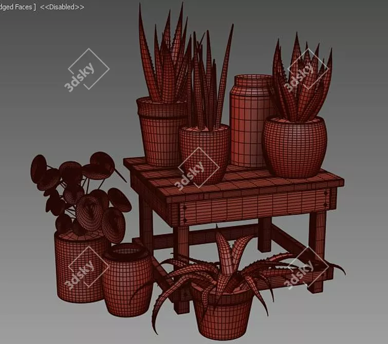 Variety of Plants with Unique Pots 3D model image 3