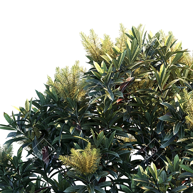 Silky Oak Brown | Vertex Color-Compatible 3D model image 3