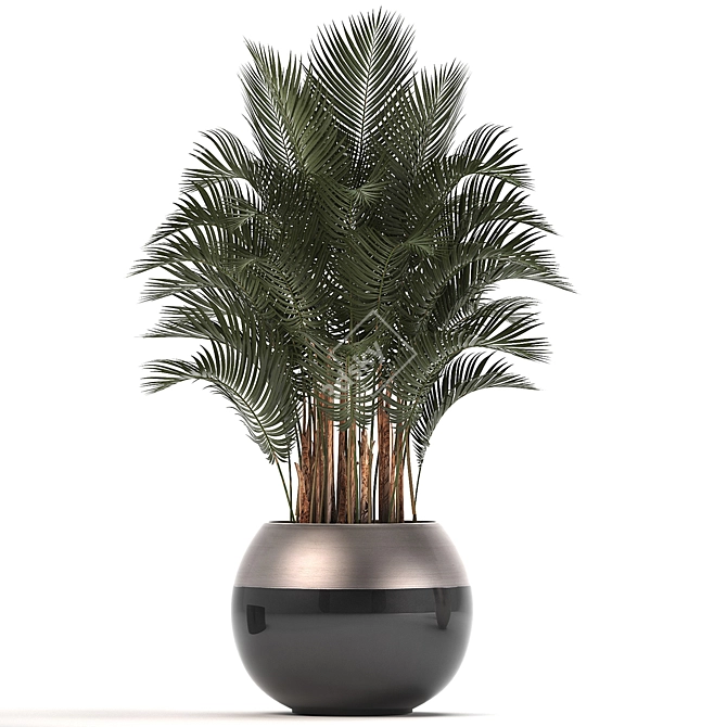 Tropical Delight Set 3D model image 2