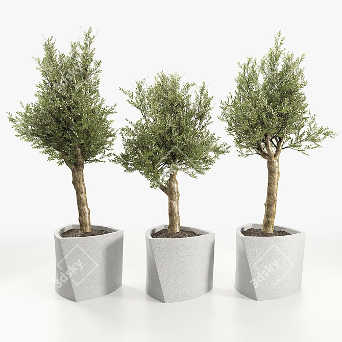 Muxart Bilbao: Contemporary Stone Planter 3D model image 1