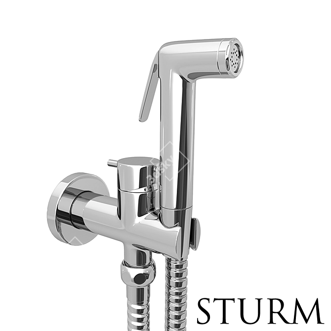 STURM Punto Chrome Hygienic Shower 3D model image 1